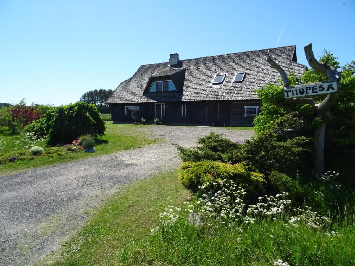 Tiiupesa Guest House Hellamaa  Kültér fotó